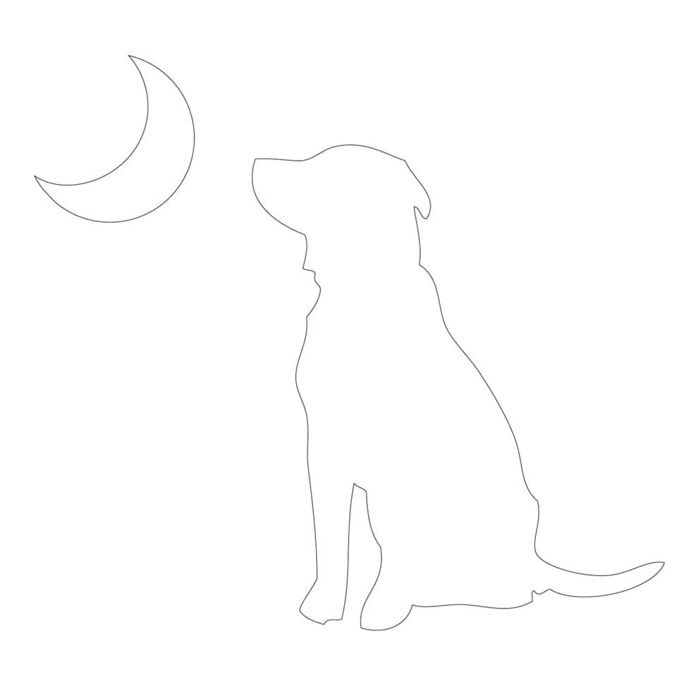 Local Boy Outfitters Dog & Moon Decal